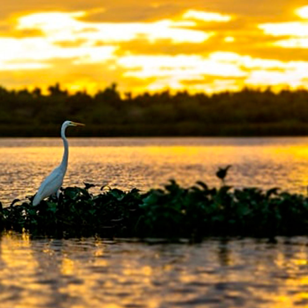 De paseo por la laguna de tres palos